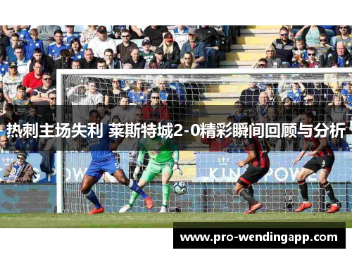 热刺主场失利 莱斯特城2-0精彩瞬间回顾与分析 热刺主场失利 莱斯特城2-0精彩瞬间回顾与分析