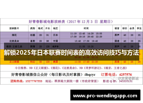 解锁2025年日本联赛时间表的高效访问技巧与方法