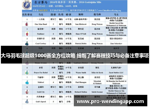 大马羽毛球超级1000赛全方位攻略 提前了解赛程技巧与必备注意事项