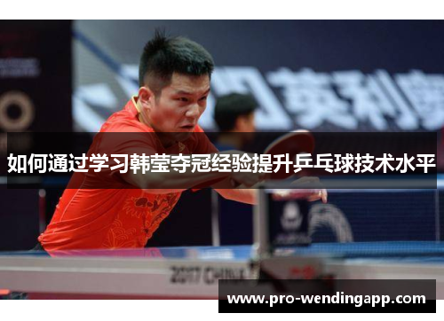 如何通过学习韩莹夺冠经验提升乒乓球技术水平 如何通过学习韩莹夺冠经验提升乒乓球技术水平