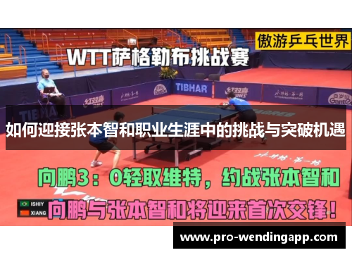 如何迎接张本智和职业生涯中的挑战与突破机遇 如何迎接张本智和职业生涯中的挑战与突破机遇