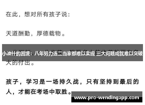 小波什的困境:八年努力连二当家都难以实现 三大问题成就难以突破 小波什的困境:八年努力连二当家都难以实现 三大问题成就难以突破