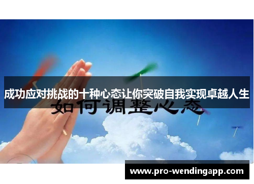 成功应对挑战的十种心态让你突破自我实现卓越人生
