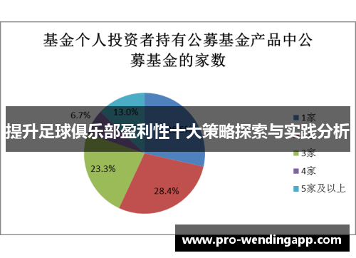 提升足球俱乐部盈利性十大策略探索与实践分析 提升足球俱乐部盈利性十大策略探索与实践分析