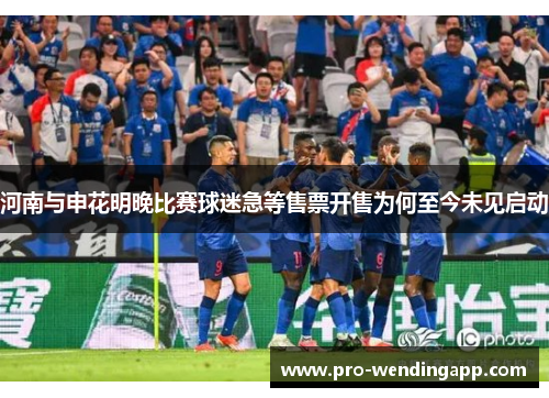 河南与申花明晚比赛球迷急等售票开售为何至今未见启动