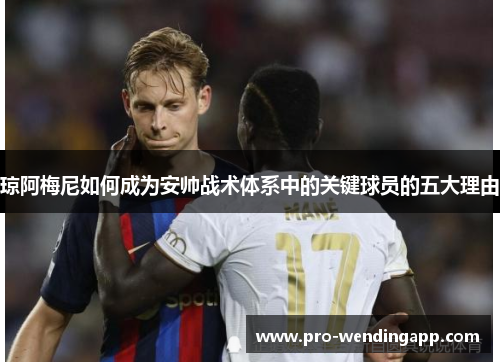 琼阿梅尼如何成为安帅战术体系中的关键球员的五大理由