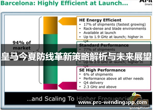 皇马今夏防线革新策略解析与未来展望