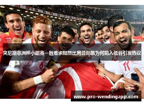 突尼斯非洲杯小组赛一胜难求黯然出局昔劲旅为何陷入低谷引发热议