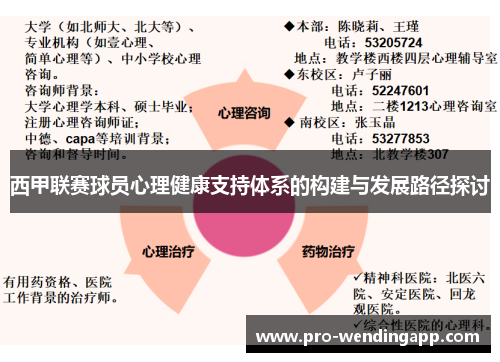 西甲联赛球员心理健康支持体系的构建与发展路径探讨
