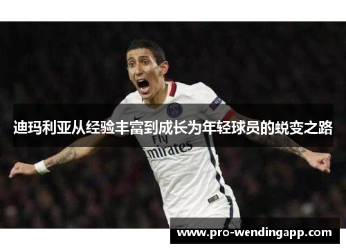 迪玛利亚从经验丰富到成长为年轻球员的蜕变之路 迪玛利亚从经验丰富到成长为年轻球员的蜕变之路