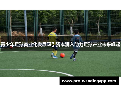 青少年足球商业化发展吸引资本涌入助力足球产业未来崛起